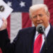 Brasil foi beneficiado ou prejudicado por tarifas de Trump? Saiba quais setores são mais atingidos
