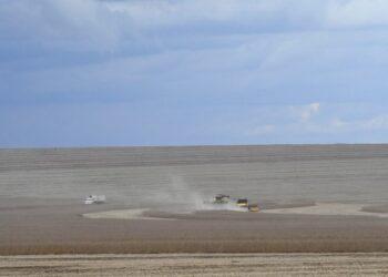 MS deverá produzir 14,6 milhões de toneladas de soja, volume 11,4% superior ao da safra passada