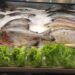 Campeã de consumo, Tilápia é a espécie de peixe mais consumida durante a Quaresma