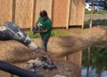 Cleir criou os ‘Tuiuiús do Aeroporto’ inspirado no Pantanal e hoje restaura o monumento