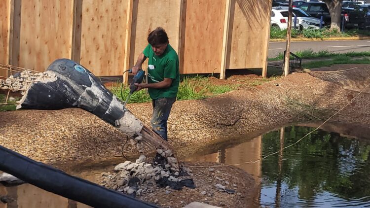 Cleir criou os ‘Tuiuiús do Aeroporto’ inspirado no Pantanal e hoje restaura o monumento