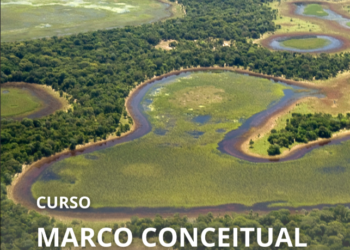 Curso gratuito sobre Áreas Úmidas oferece base essencial para gestores, pesquisadores e profissionais do meio ambiente
