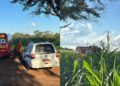 Idoso sai para pescar e é encontrado morto em plantação de milho em Rio Brilhante