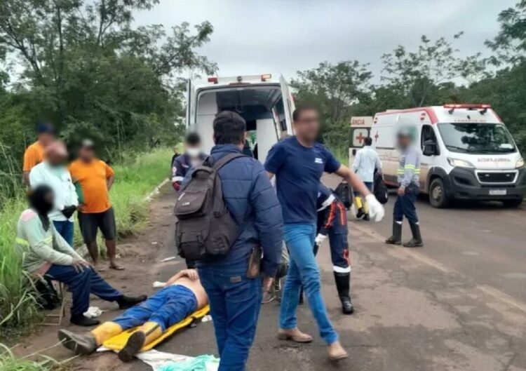 Quarenta passageiros de ônibus ficam feridos após ele cair de ponte na MS-436