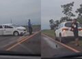 Capivara News TV: Condutor atropela anta que atravessava avenida na BR-060