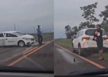 Capivara News TV: Condutor atropela anta que atravessava avenida na BR-060