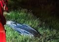 Motorista atropela, mata idoso de 63 anos na BR-463 e foge em Ponta Porã
