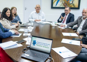 Comitê Ampliado do Programa da Primeira Infância apresenta balanço de ações e articula mobilização para evento no dia 30 de maio