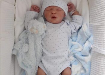 Febre dos bebês reborn migra das redes para o Congresso