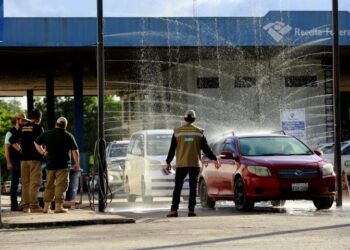 Governo de MS e Codesul discutem articulação conjunta para prevenção da gripe aviária