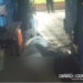 Homem é morto a tiros em frente à praça de bairro em Corumbá