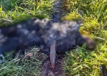 “Loucão” é preso suspeito de matar e colocar fogo no corpo de homem em Ponta Porã