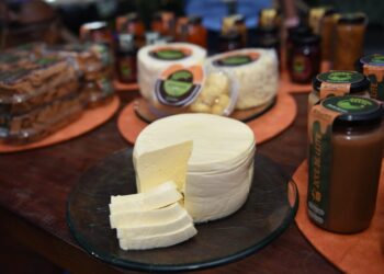 Oitava Festa do Queijo de Rochedinho acontece neste sábado com gastronomia e atrações culturais