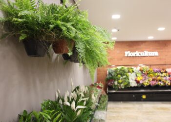 Cerca de 20% dos filhos devem presentear mãe com flores, aponta pesquisa