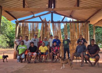 Em Aquidauana, indígenas Terena iniciam projeto de agrofloresta
