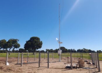 Pantanal da Nhecolândia registra menor temperatura de MS no início da manhã de hoje: 2,6°C