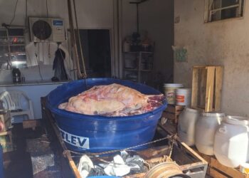 Duas pessoas são presas e apreendidas quase 2 toneladas de carne estragada pra consumo em Selvíria