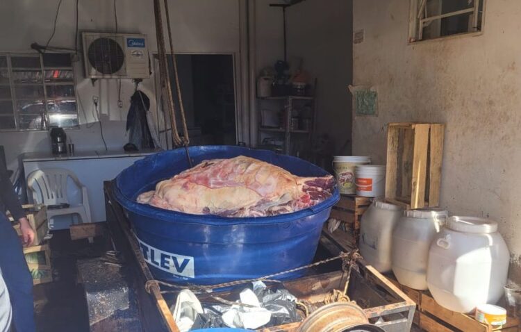 Duas pessoas são presas e apreendidas quase 2 toneladas de carne estragada pra consumo em Selvíria