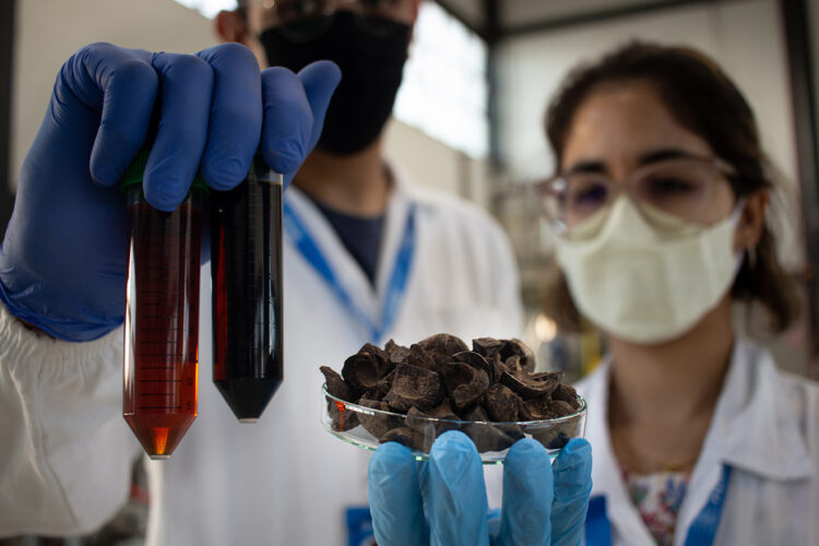 Pesquisas ajudam MS a se tornar 2º maior produtor de energia a partir de biomassa no Brasil