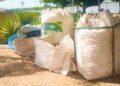 Sustentável: Festival América do Sul 2025 registra recorde na coleta de resíduos recicláveis