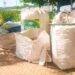 Sustentável: Festival América do Sul 2025 registra recorde na coleta de resíduos recicláveis