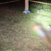 Colega de trabalho mata outro a golpe de faca em propriedade na zona rural da Capital
