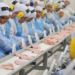Gripe aviária: México suspende importação de carne de frango, ovos e aves vivas do Brasil