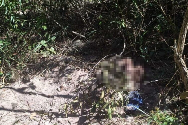 Corpo de homem com tatuagem de Coringa e nome Dara é achado enterrado em Três Lagoas