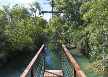 Com alta de 11,7%, turismo cresce em MS e impulsiona a economia regional