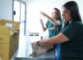 Consultório Móvel Veterinário leva atendimento para diversos bairros de Campo Grande no mês de julho