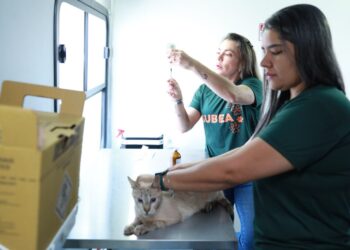 Consultório Móvel Veterinário leva atendimento para diversos bairros de Campo Grande no mês de julho