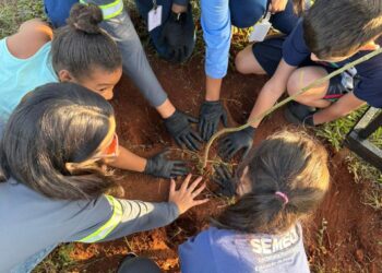Arauco promove Jornada do Meio Ambiente e plantio de árvores em Inocência