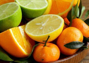 Festival das Frutas Cítricas incentiva hábitos saudáveis e economia neste outono e inverno