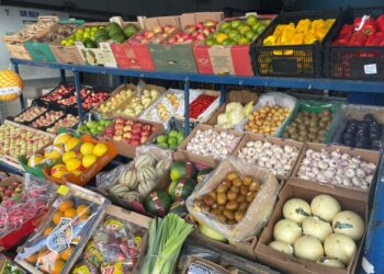 Com frutas e hortaliças direto do campo, Ceasa tem papel crucial na saúde dos sul-mato-grossenses