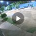 Vídeo: Jovens desligam padrão da UBS Santa Emília e R$ 300 mil em vacinas contra a gripe são perdidos