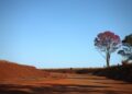 Frente fria pode provocar mudanças na quinta-feira em Mato Grosso do Sul