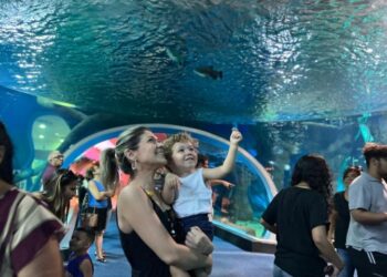 Bioparque Pantanal é destino ideal para curtir o feriado com conhecimento e natureza