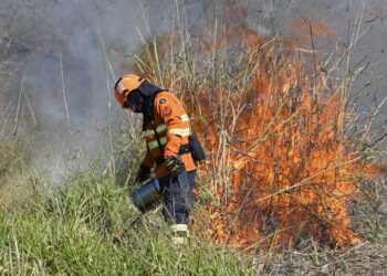 Imasul publica mapa de áreas prioritárias para execução da queima prescrita no Pantanal