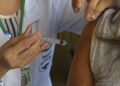 MS completa 10 anos sem casos de febre amarela humana e mantém alerta com vacinação