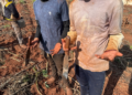 Força-tarefa resgata 7 paraguaios vítimas de escravidão em Itaquiraí