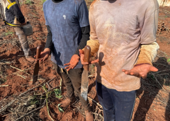 Força-tarefa resgata 7 paraguaios vítimas de escravidão em Itaquiraí