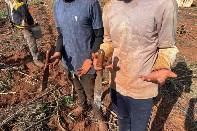 Força-tarefa resgata 7 paraguaios vítimas de escravidão em Itaquiraí
