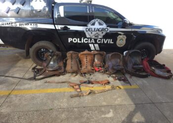 Funcionário é preso por se apropriar de gado em fazenda na Capital e por ter arma