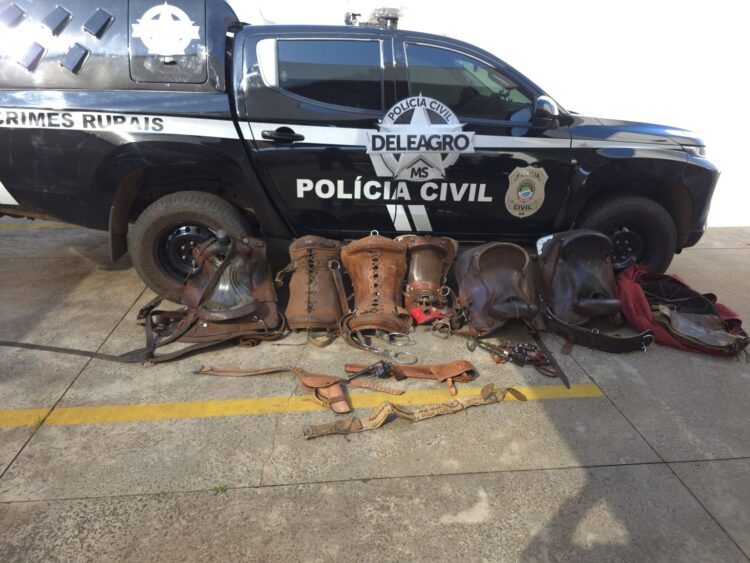 Funcionário é preso por se apropriar de gado em fazenda na Capital e por ter arma