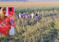 Passageira de Corolla que morreu em capotamento na BR-376 é identificada