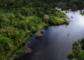 Senai-MS participa de estudo que transforma resíduos de pesca na Amazônia em combustível e ração