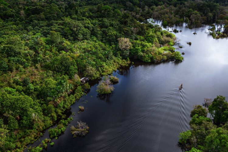 Senai-MS participa de estudo que transforma resíduos de pesca na Amazônia em combustível e ração
