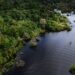 Senai-MS participa de estudo que transforma resíduos de pesca na Amazônia em combustível e ração