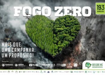 Campanha Fogo Zero 2025: Reflore/MS realiza panfletagem com caminhoneiros no Dia do Meio Ambiente
