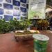 Com ênfase na sustentabilidade, SES promove semana estadual de saúde e meio ambiente